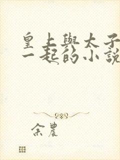 皇上与太子妃在一起的小说封面