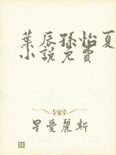 叶辰孙怡夏若雪小说免费