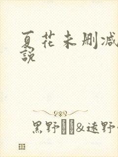 夏花未删减版小说