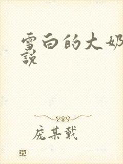 雪白的大奶子小说