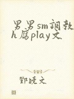 男男sm调教高h腐play文