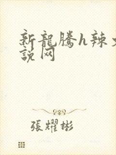 新龙腾h辣文小说网