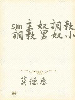 sm主奴调教:调教男奴小说