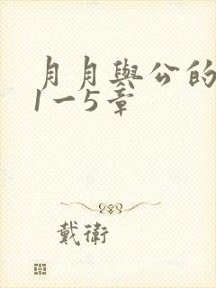 月月与公的激情1一5章
