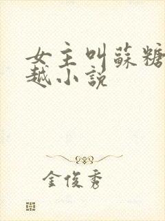 女主叫苏糖的穿越小说封面