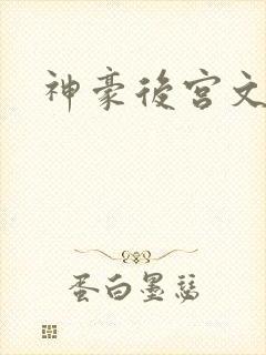 神豪后宫文