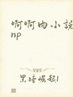 啊啊肉小说嗯嗯np