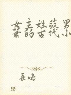 女主姓苏男主姓萧的古代小说