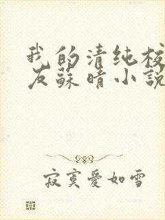 我的清纯校花女友苏晴小说最新章节封面