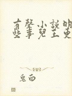 有声小说明朝那些事儿王更新