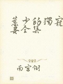 叶少的独宠小娇妻全集