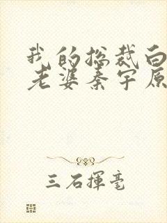 我的总裁白富美老婆秦宇原著小说