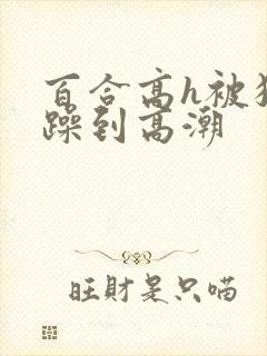 百合高h被狂c躁到高潮
