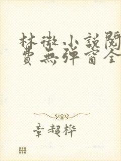 林微小说阅读免费无弹窗全文