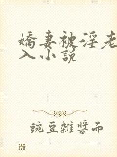 娇妻被淫老头进入小说