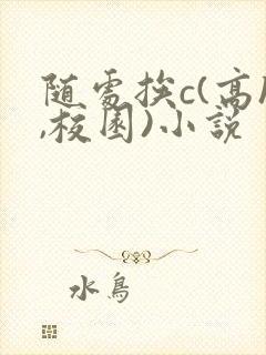 随处挨c(高h,校园)小说