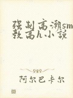 强制高潮sm调教高h小说