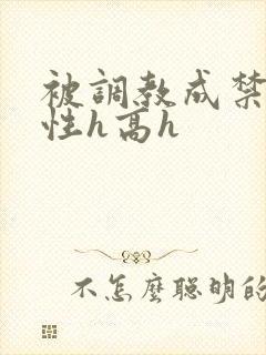 被调教成禁脔双性h高h