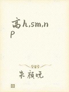 高h,sm,np