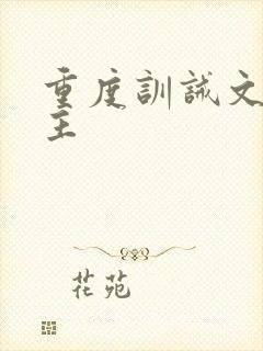 重度训诫文双男主