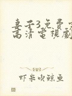 妻子3免费完整高清电视剧在线看