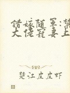 错嫁随军:禁欲大佬宠妻上瘾小说