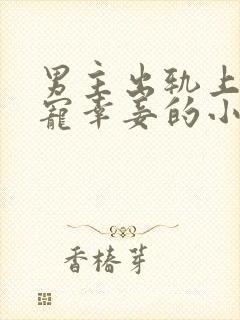 男主出轨上瘾,宠幸妾的小说