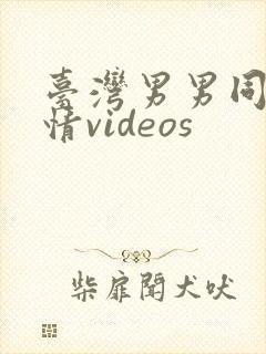 台湾男男同志激情videos