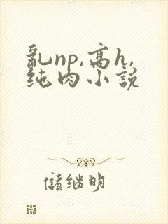 乱np,高h,纯肉小说