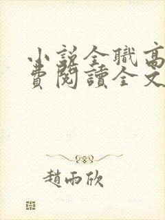 小说全职高手免费阅读全文无窗口