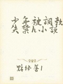 少年被调教爽到失禁h小说