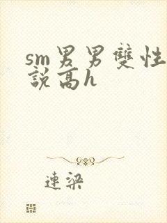 sm男男双性小说高h