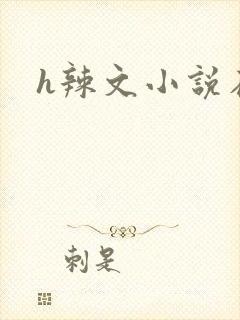 h辣文小说在线封面