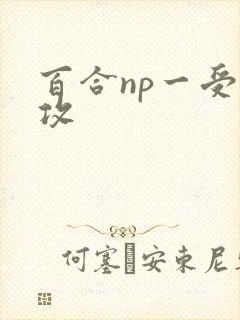 百合np一受多攻