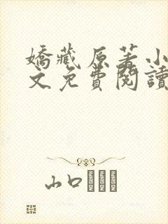 娇藏原著小说全文免费阅读