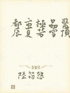 都市极品医神叶辰夏若雪顶点小说网