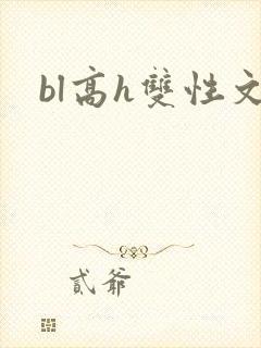 bl高h双性文封面