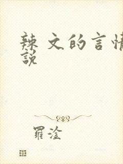 辣 文的言情小说