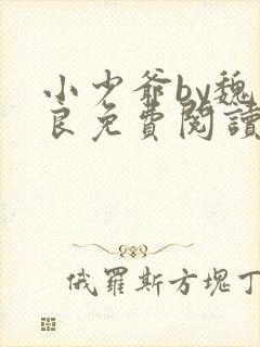 小少爷by魏丛良免费阅读全文封面
