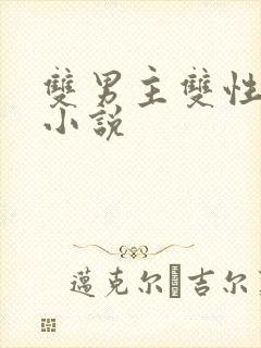 双男主双性调教小说