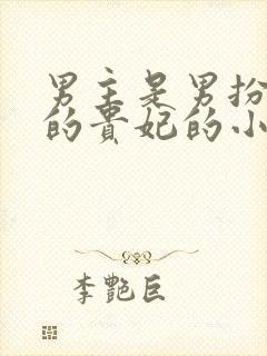 男主是男扮女装的贵妃的小说