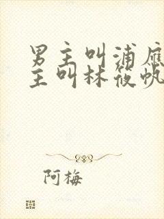 男主叫浦应辛女主叫林筱帆的小说