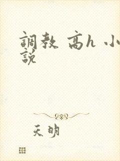 调教 高h 小说