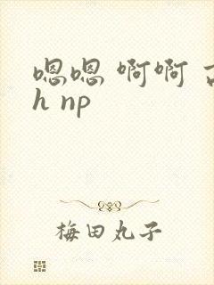 嗯嗯 啊啊 高h np
