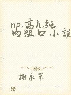 np,高h,纯肉粗口小说