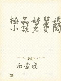 极品好儿媳老秦小说免费阅读全文最新章节封面