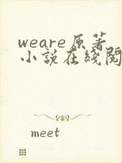 weare原著小说在线阅读