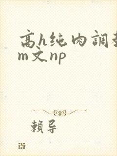 高h纯肉调教sm文np