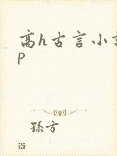 高h古言小说np封面