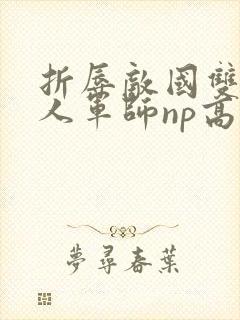 折辱敌国双性美人军师np高h